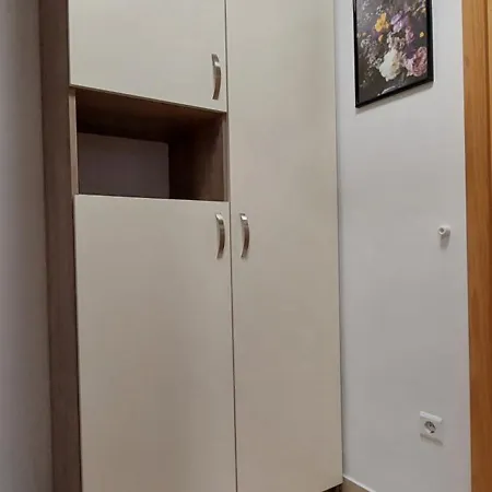 Apartman New Joy - Center Old Town Of & Free Parking In A Private Garage! Szarajevó