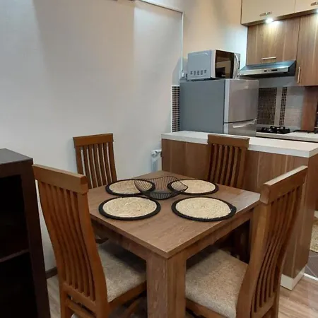 New Joy - Center Old Town Of & Free Parking In A Private Garage! * 塞拉耶佛