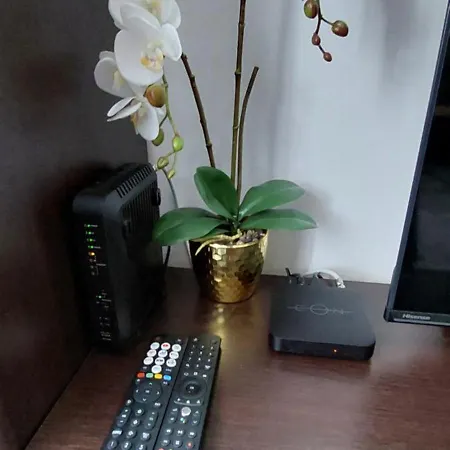 New Joy - Center Old Town Of & Free Parking In A Private Garage! Saraievo